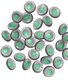 Main Pic of Repetitive object counting system