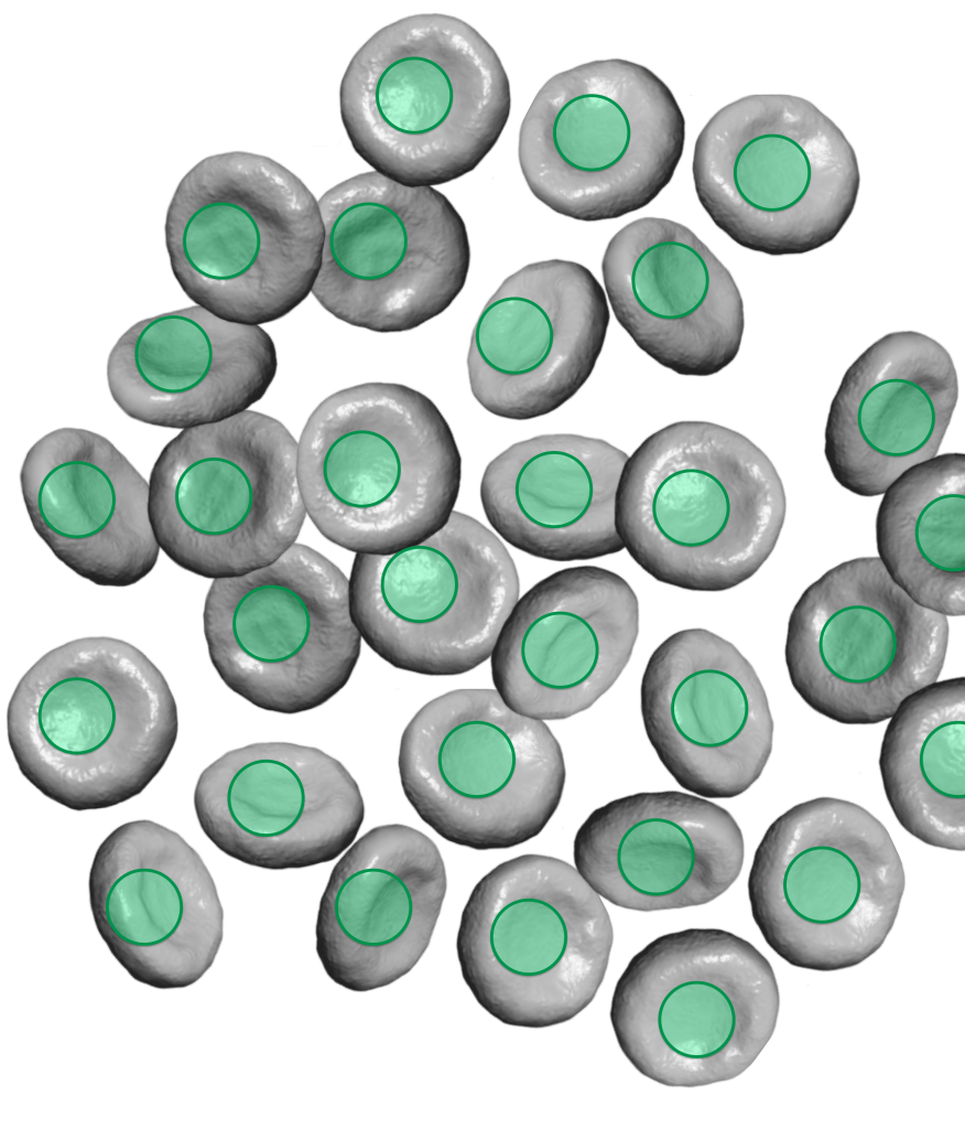 Repetitive object counting system